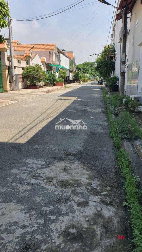 Bán cặp đất biệt thự gần trường đh lạc hồng cs5,p.trấn biên - 3