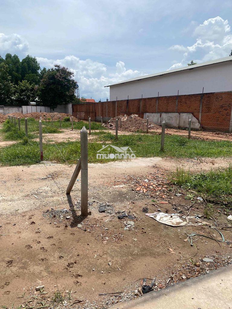 Mặt tiền đường nhựa 12m thông kinh doanh - 4