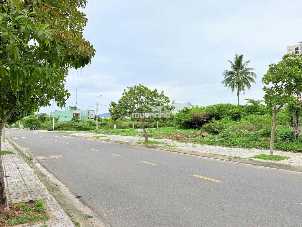Đất nền dự án siêu đẹp tại đường võ tự 7m5 - 4