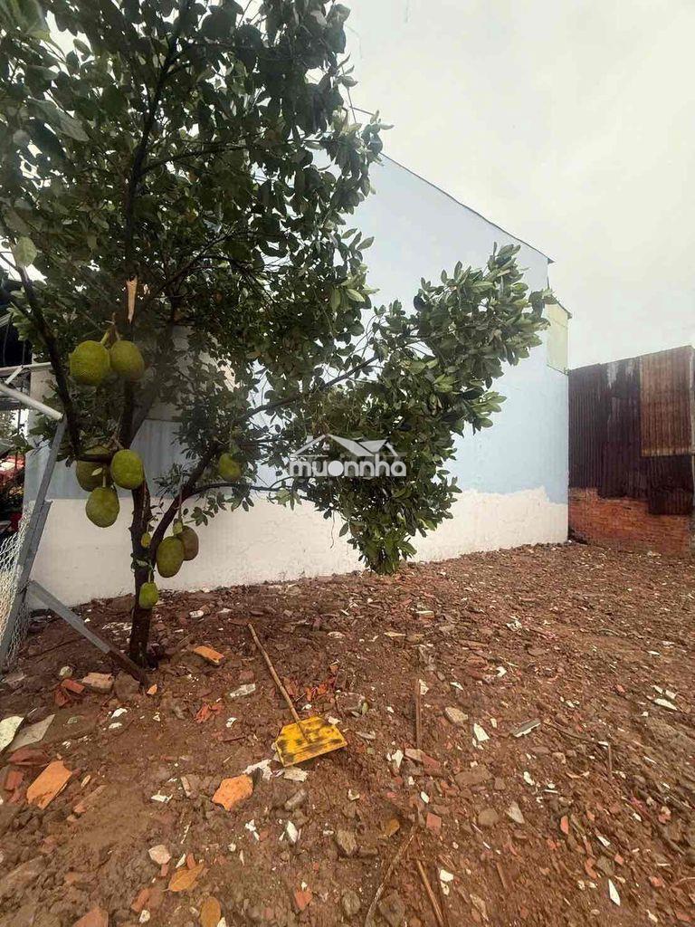 13x14m sau chợ đầu mối hm - 2