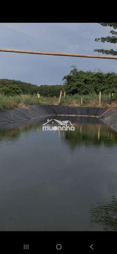 Xã tân thành .tp đồng xoài .đất cách ql 14 chỉ 2km - 2