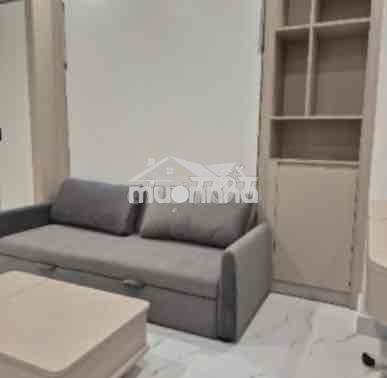 Cho thuê căn hộ 1pn cao cấp vinhomes - 2