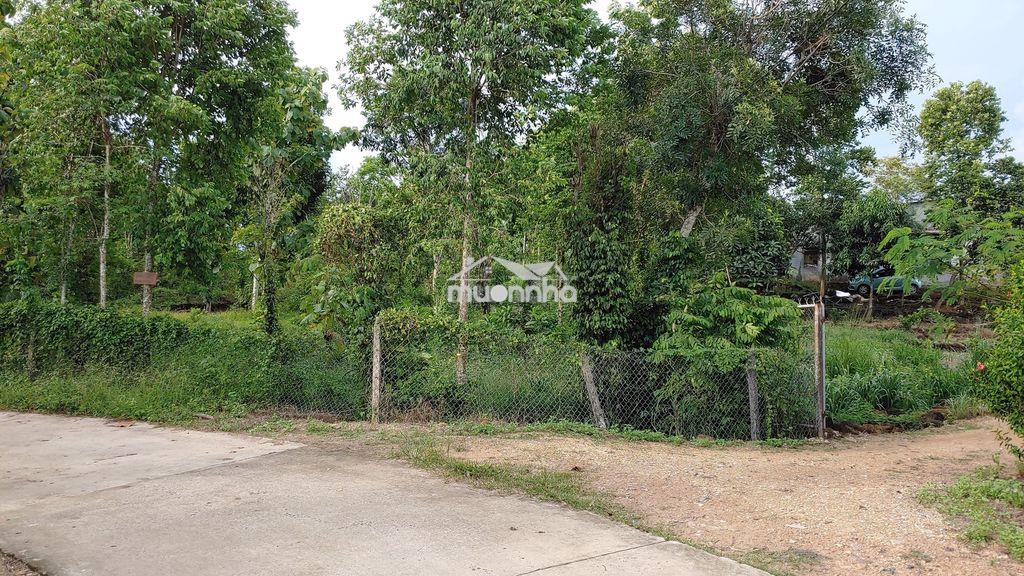 Bán đất phú lập cũ, tà lài , tân phú, đồng nai: 1,941 m², 25m mắt tiền - 4