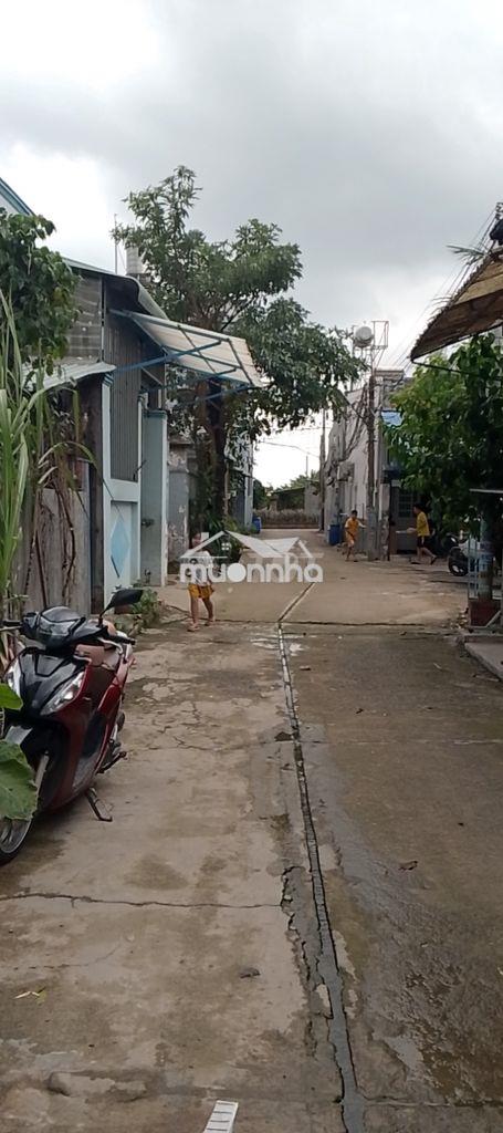Cần bán gấp nhà hẻm xe hơi, chính chủ - 4
