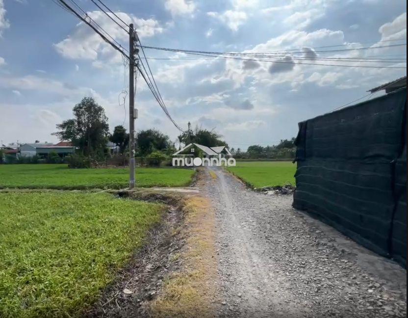 Chính chủ - bán gấp trong tháng - đất nông nghiệp - 2