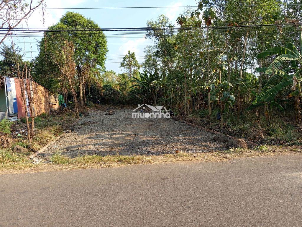 Cắt lỗ sâu bán lô đất mặt tiền đường liên xã phường trảng bom - 4