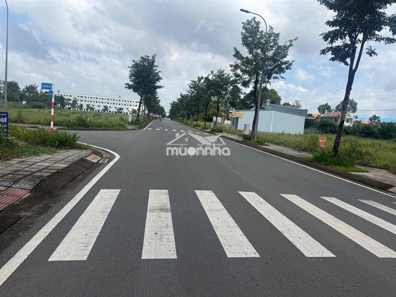 Bán gấp đường lớn kinh doanh gần sb long thành