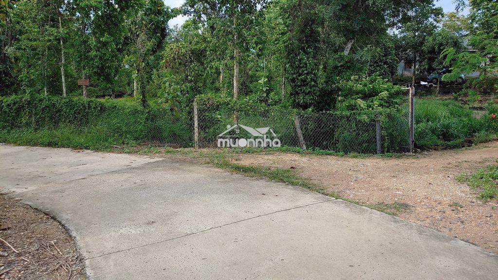 Bán đất phú lập cũ, tà lài , tân phú, đồng nai: 1,941 m², 25m mắt tiền - 2