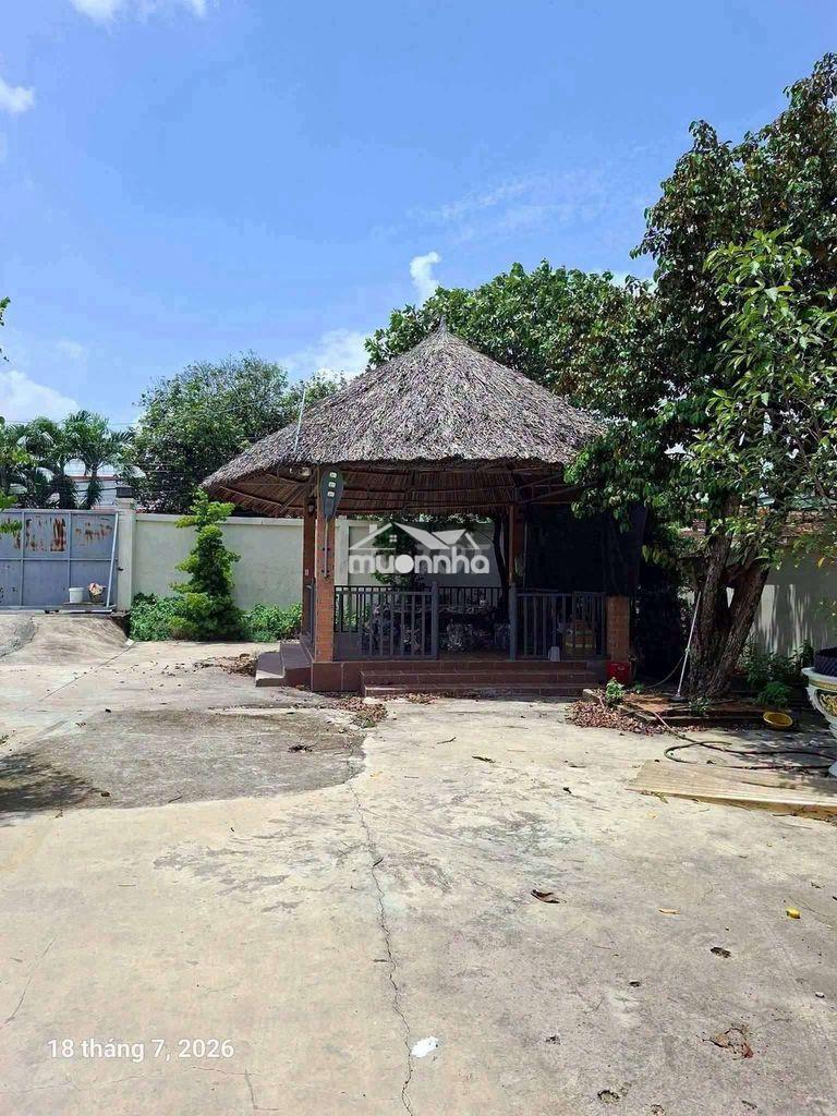 Cho thuê xưởng 3600m2 giá thuê 130 triệu/tháng - 4