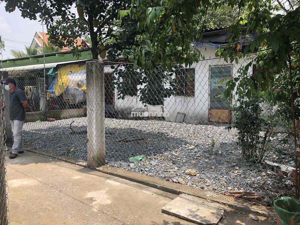 Giảm giá bán gấp có nhà cấp 4 - 2