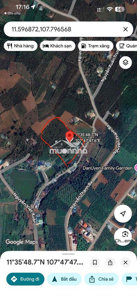🔥 Hàng hiếm bảo lộc – 8.500m² đất vườn đẹp, ngang 70m – có hồ nước, cà - 2