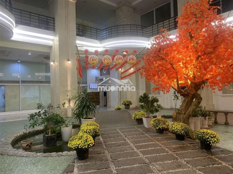 Thuận việt quận 11 – 70m2 (2pn 2wc) tầng cao view đẹp – giá 12 tr/th