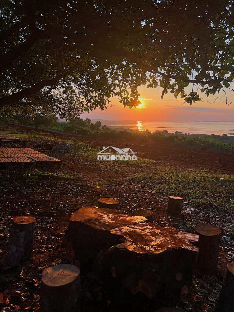 🌿 Chạm thiên nhiên hồ trị an – 1150m² đất view hồ, giá chỉ 499 triệu - 4