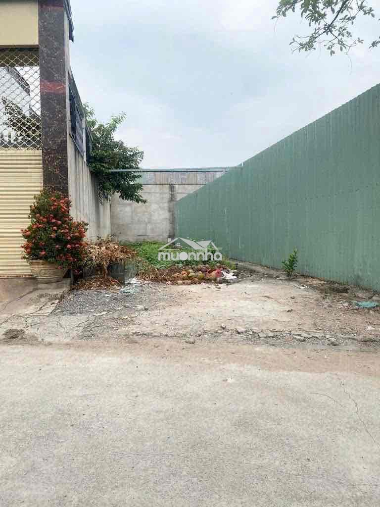 128m2-full thổ-đường 8m xe tải tránh-5x25-tỉnh lộ 10-nhỉnh 4tỷ - 3