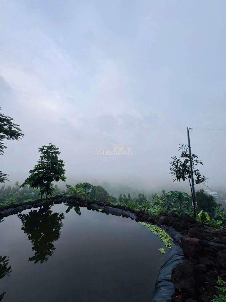 Bán đất vườn view sông la ngà – diện tích 1.400m² – giá chỉ hơn 1 tỷ - 4