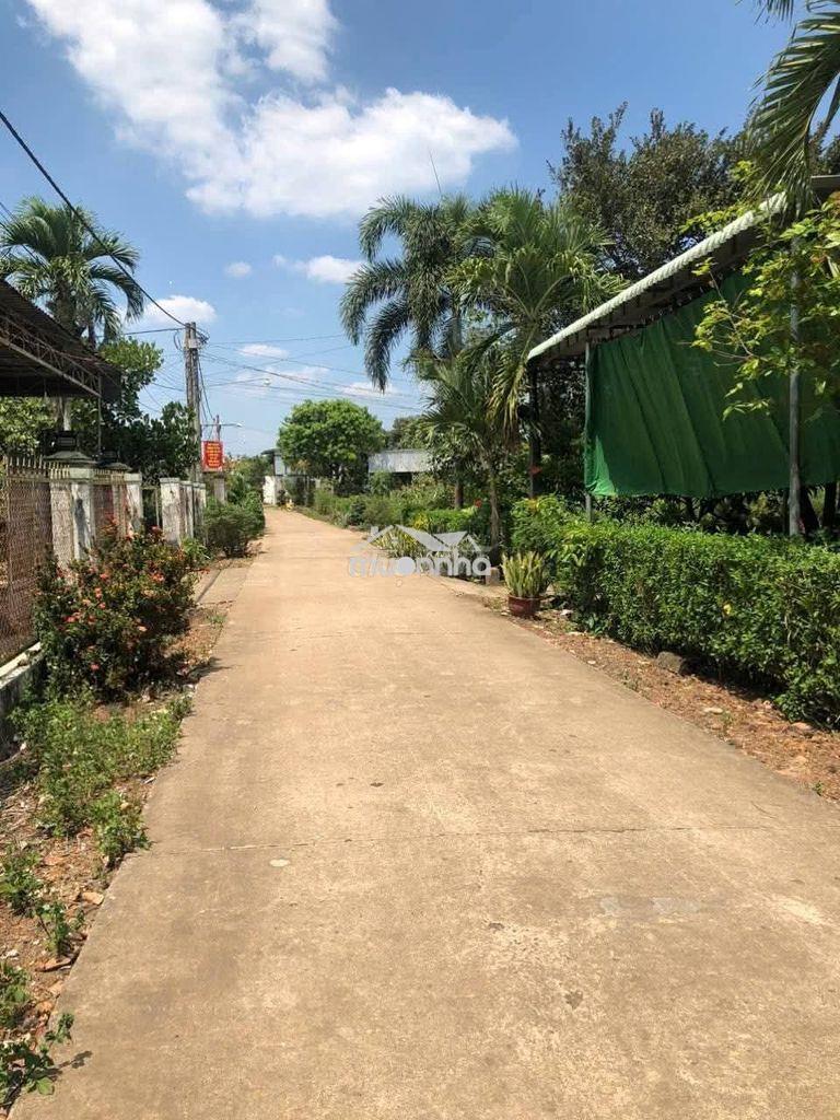 Đất góc 2mt xuân đông cẩm mỹ , 566m2 gần chợ cọ dầu cách dt765 tầm 50m - 2