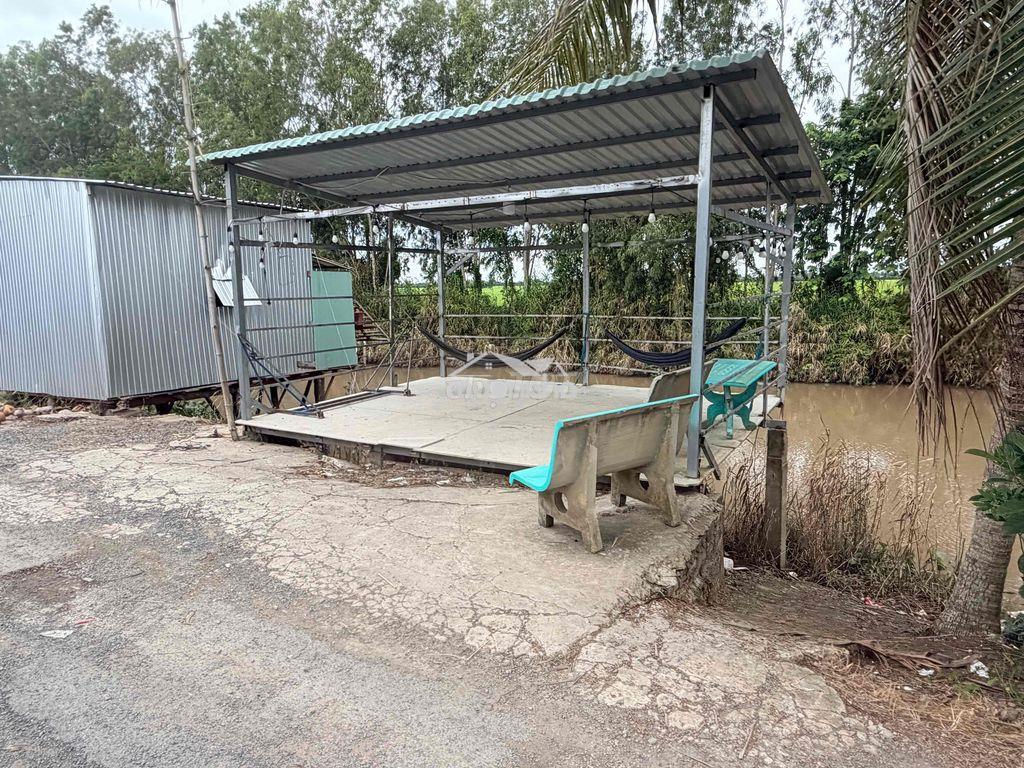 Cần bán 2 căn nhà và 9 công vườn mít đang lấy trái - 4