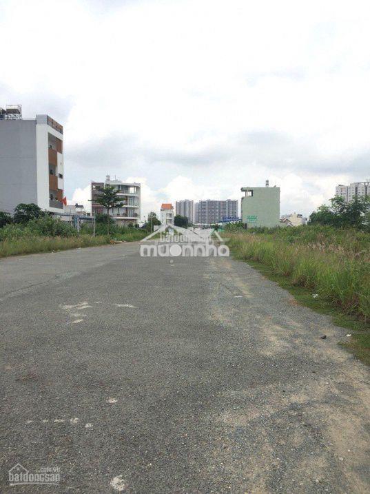 Giỏ hàng kdc sở văn hóa thông tin q9 diện tích 100m2 giá chỉ 6.9 tỷ - Ảnh 2