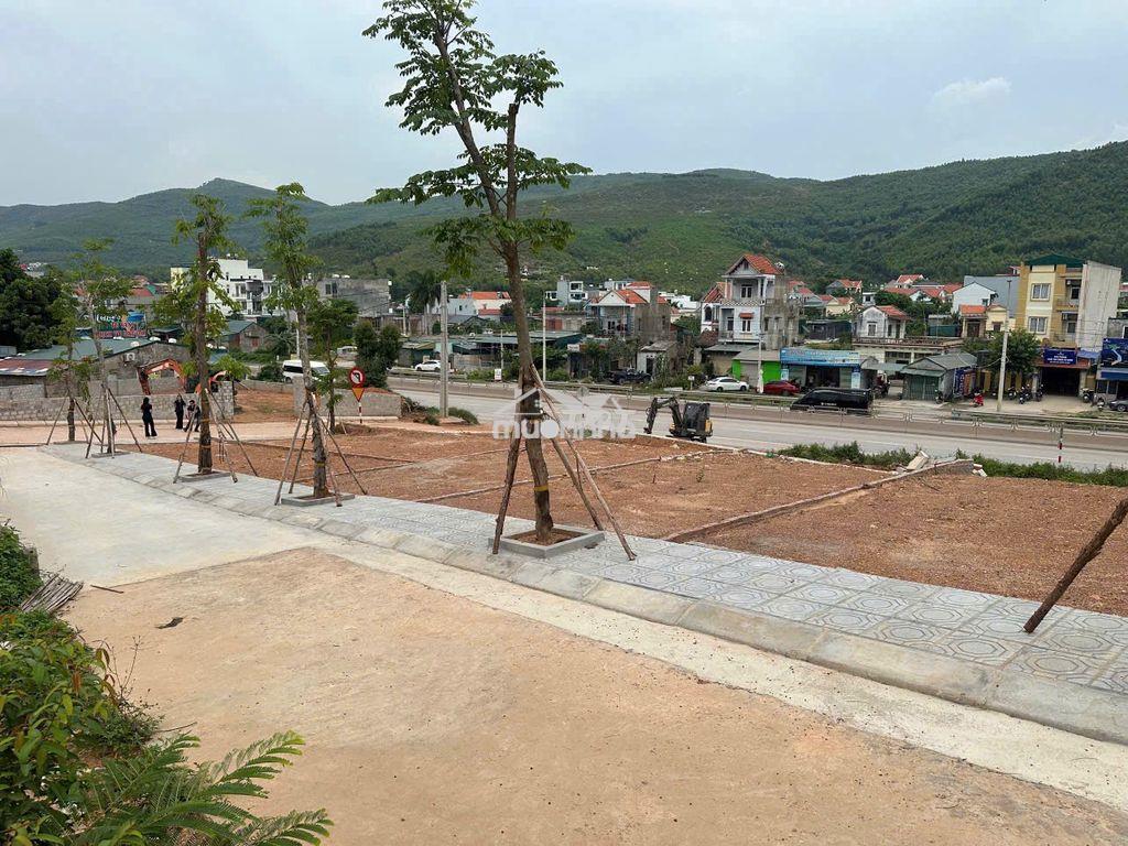 Mở bán quỹ căn fo giá đầu tư full thổ cư liền kề dụ án hạ long xanh - 2
