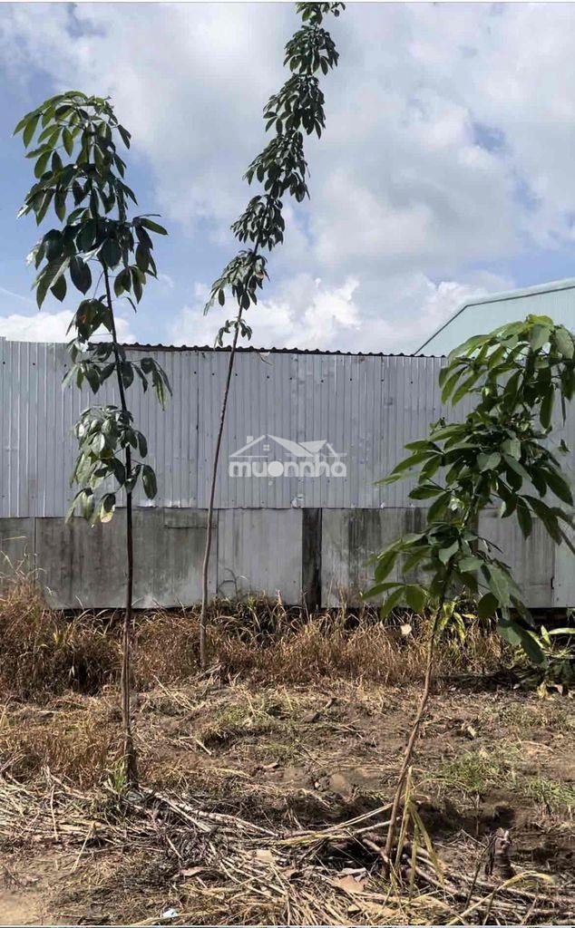Bán 153m2 nhà ở bình dương - 3