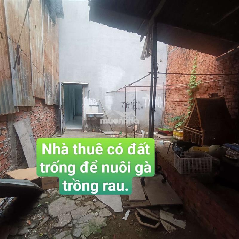 Nhà thuê 5*16 có gác _ có đất trồng rau đường vĩnh lộc b. ấp 5