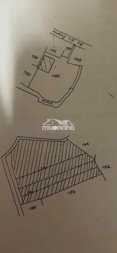 Toi càn bán nhà chính  hẻm rọng thoán mát cách duòng lón 1 can - 4