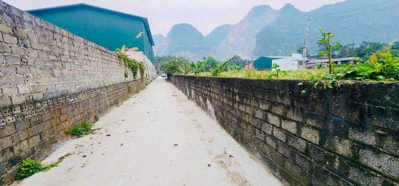 Chuyển nhượng ~5.000m² đất kho xưởng mặt đường hồ chí minh – lô góc 2 mặt tiền 43m nở hậu 50m - Ảnh 2