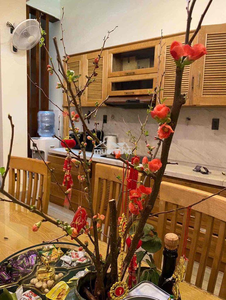 Nhà phố liền kề 1 trệt 2 lầu khu dân cư bửu long sầm uất - 4