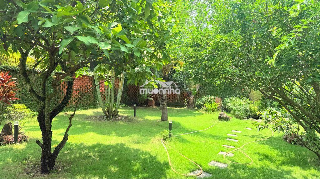 Nhà vườn trong khu đẹp hoài niệm - Ảnh 4
