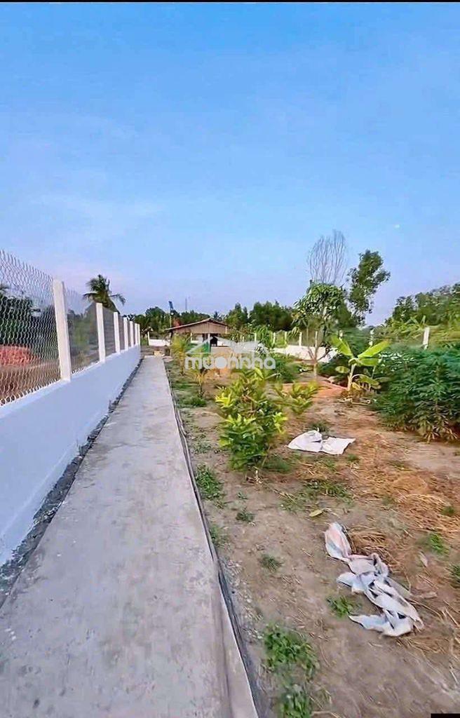 Bán gấp tặng nhà vườn 390đ - 3