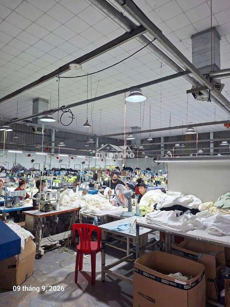 Cho thuê nhà xưởng 1200m2 giá thuê 70 triệu/tháng - Ảnh 2