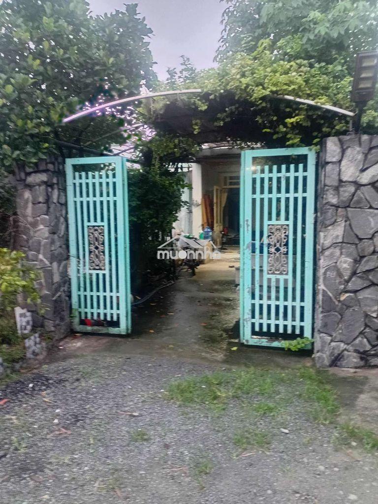 Bán nhà cấp 4,4×20 - Ảnh 4