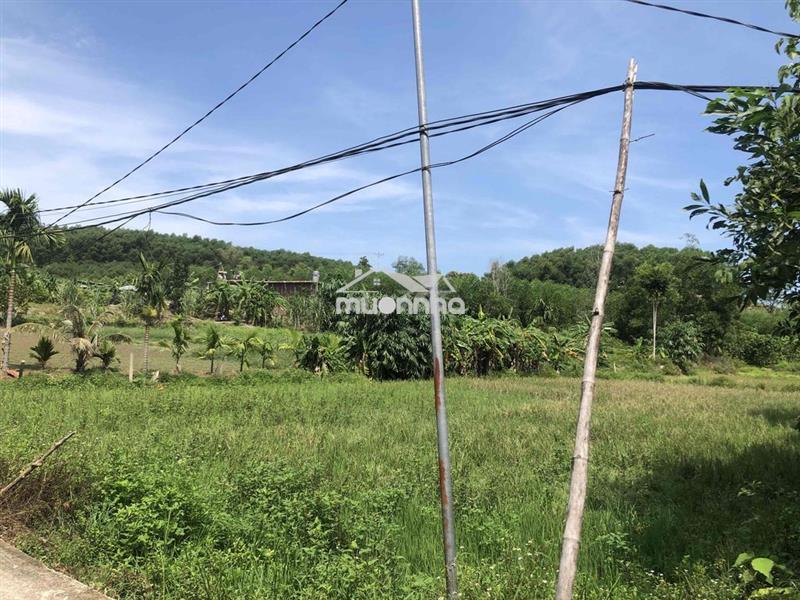 Bán đất vườn