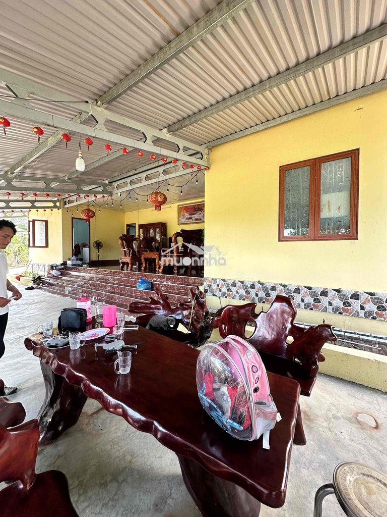 Bán đất sân vườn có villa mini trồng full cây ăn trái