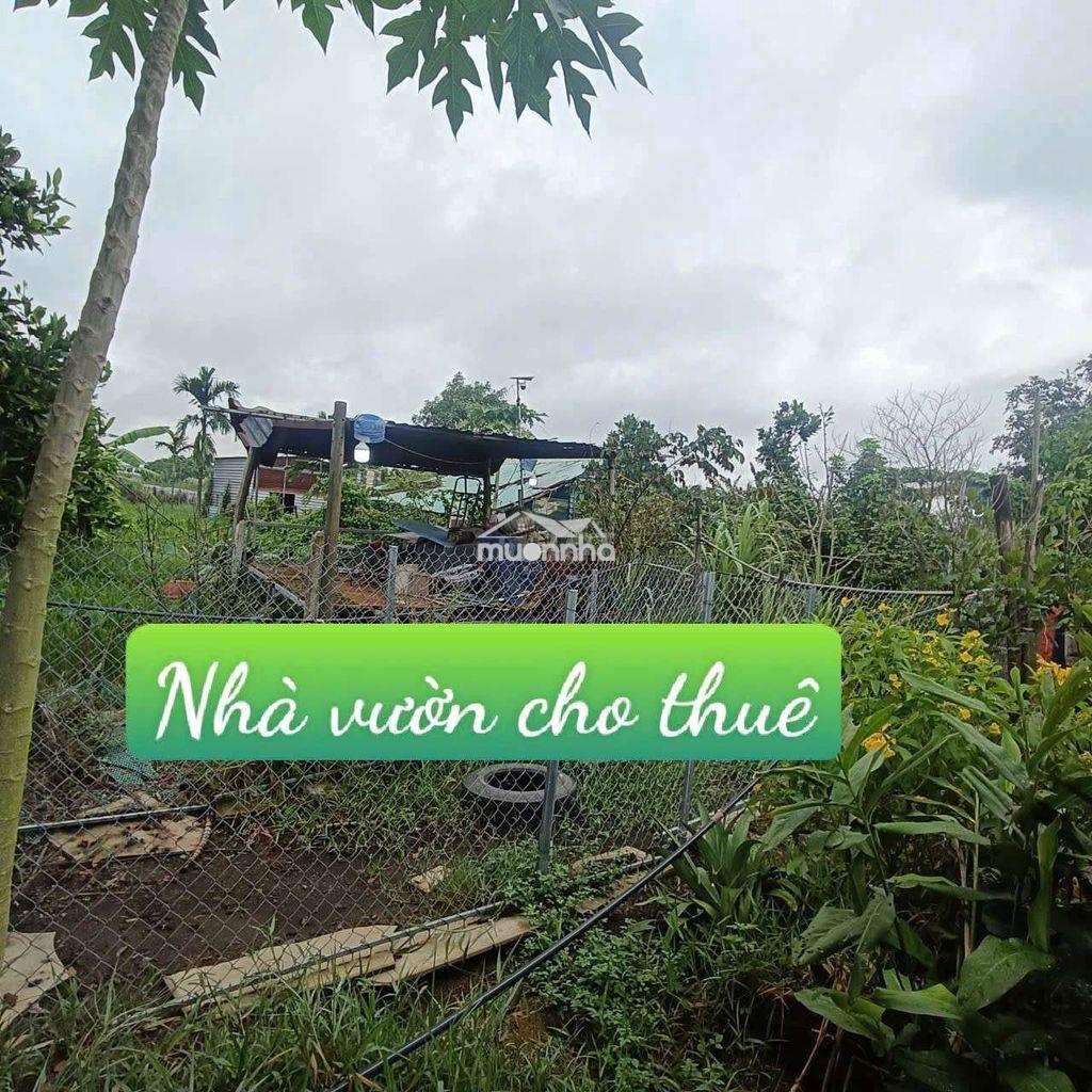 Nhà vườn 12*20. có sẵn nhà tôn ở đường kênh trung ương vĩnh lộc b. - Ảnh 3
