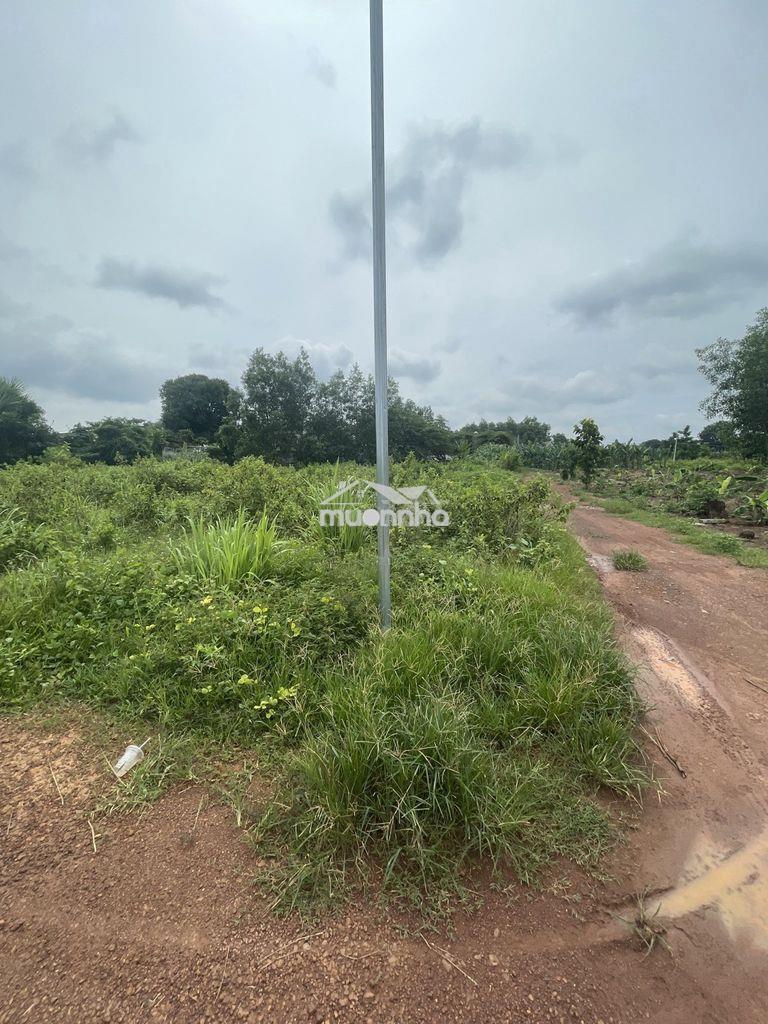 Cần bán - Ảnh 3