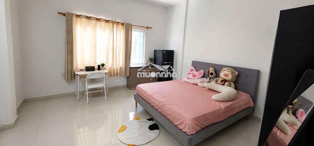 Chdv/studio gần trần não mới 100% full nt - Ảnh 4