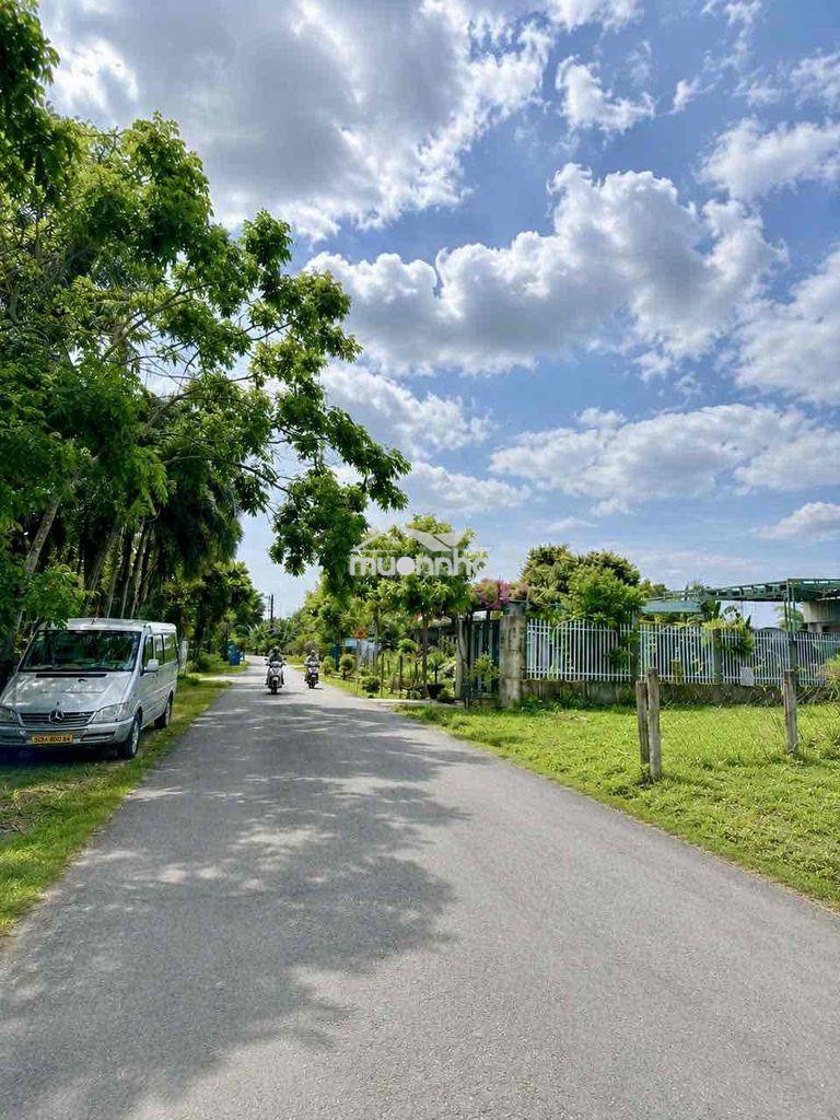 Bán nhanh lô đất 10x35 làm nhà vườn cực đẹp kdc tân thông hội, củ chi - 3