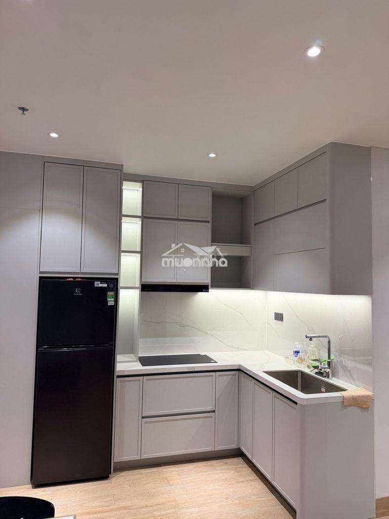 Cho thuê căn hộ 1pn+ panoma 2 | view trực diện sông hàn - 4