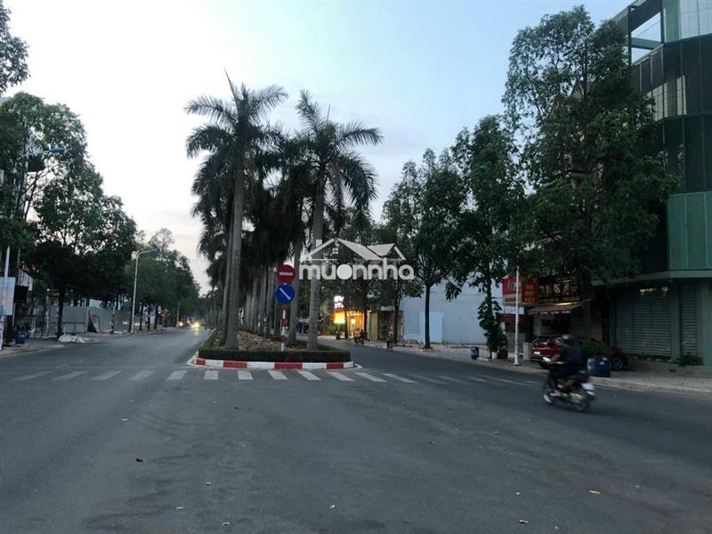 Chủ hạ bán lô đất ngộp 150m2 đường 16m kinh doanh buôn bán dc giá 6ty8