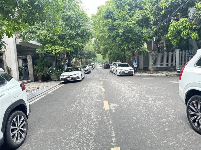 Bán đất khu biệt thự vườn đào 300m2 - 165 tỷ, 185m2 - 92 tỷ. xây cao