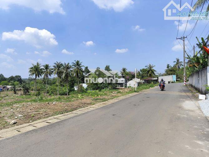 Bán 1 hecta đất 2 mt đường nhựa nguyễn hoàng, hùng vương, p. trảng bom - Ảnh 3