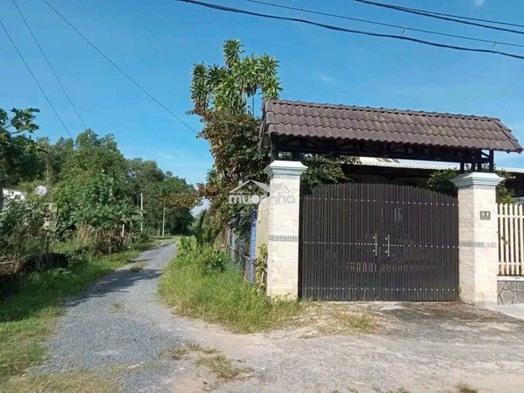Ngộp! bán lô đất tặng nhà mt đường xe tải, dt 1.036m2, full thổ - Ảnh 3