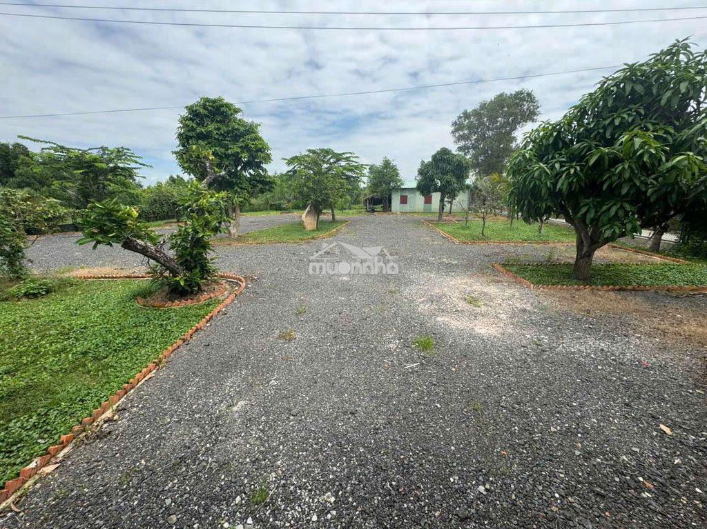 1850m2 lô farm nghỉ dưỡng hồ tràm- 2 mặt tiền cạnh melia& casino- shcc - Ảnh 2