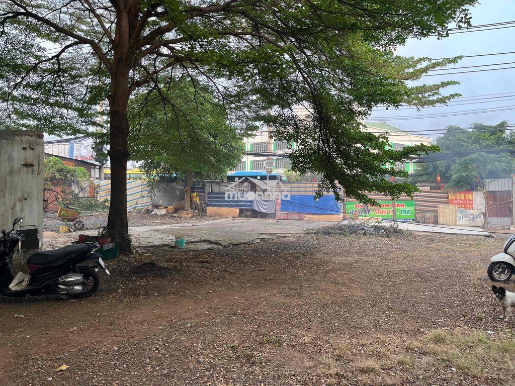📌📌Bán - chothu.ê đất chính chủ mặt tiền ql13 hiệp bình (hiệp bình phướ - Ảnh 2