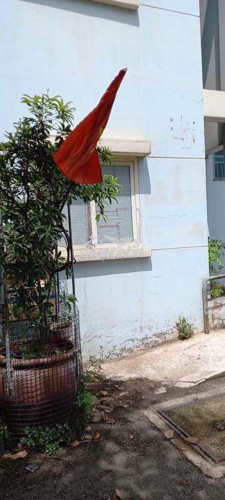 Bán căn hộ chung cư , tầng trệt , có sân trồng cây , sân đậu ô tô - 2