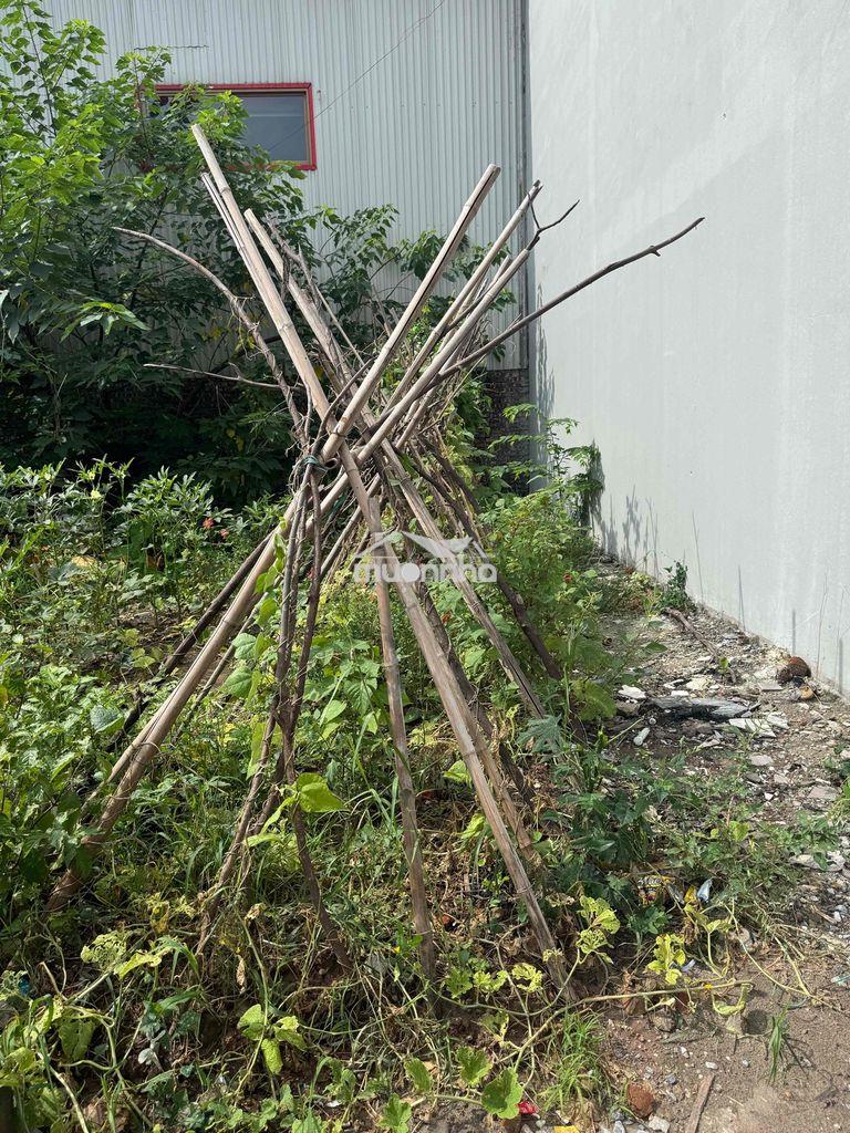 Chủ đi nước ngoài cần bán đất - 2
