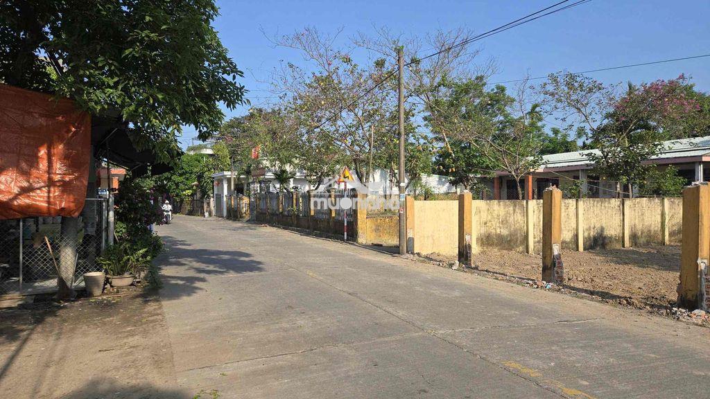 🧧 Đường chính phong nam - Ảnh 3
