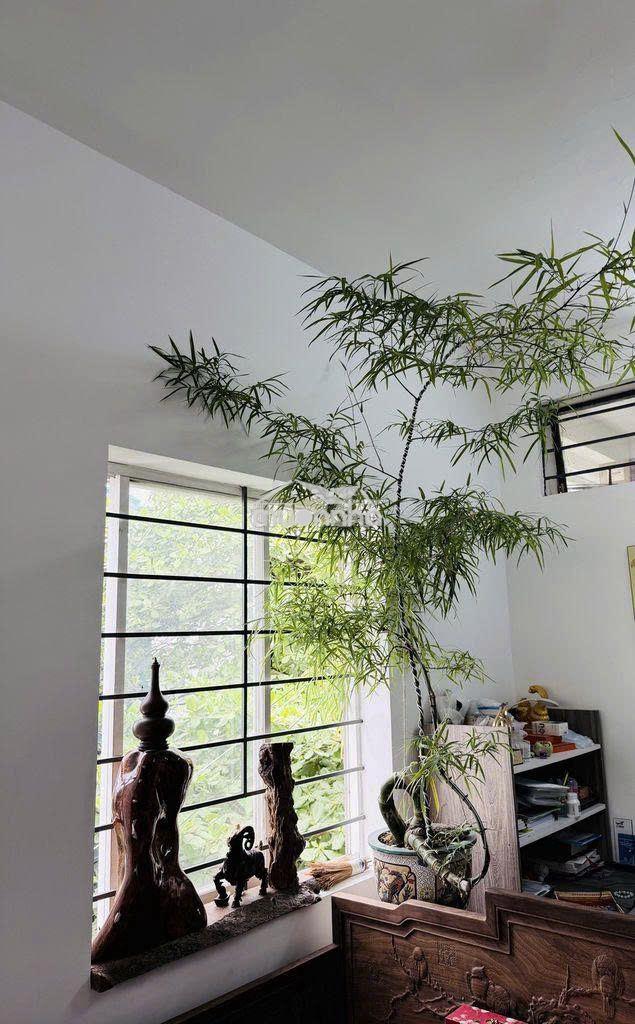 Quận 10 trung tâm - trần văn kiểu, 50m2, 1pn thang bộ. - 3