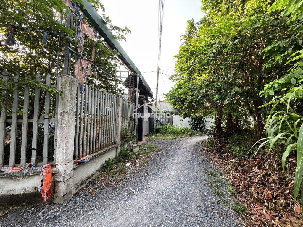 Nhà 400m2 thổ cư shr đường ô tô - gần chợ tân hiệp, hóc môn - Ảnh 3